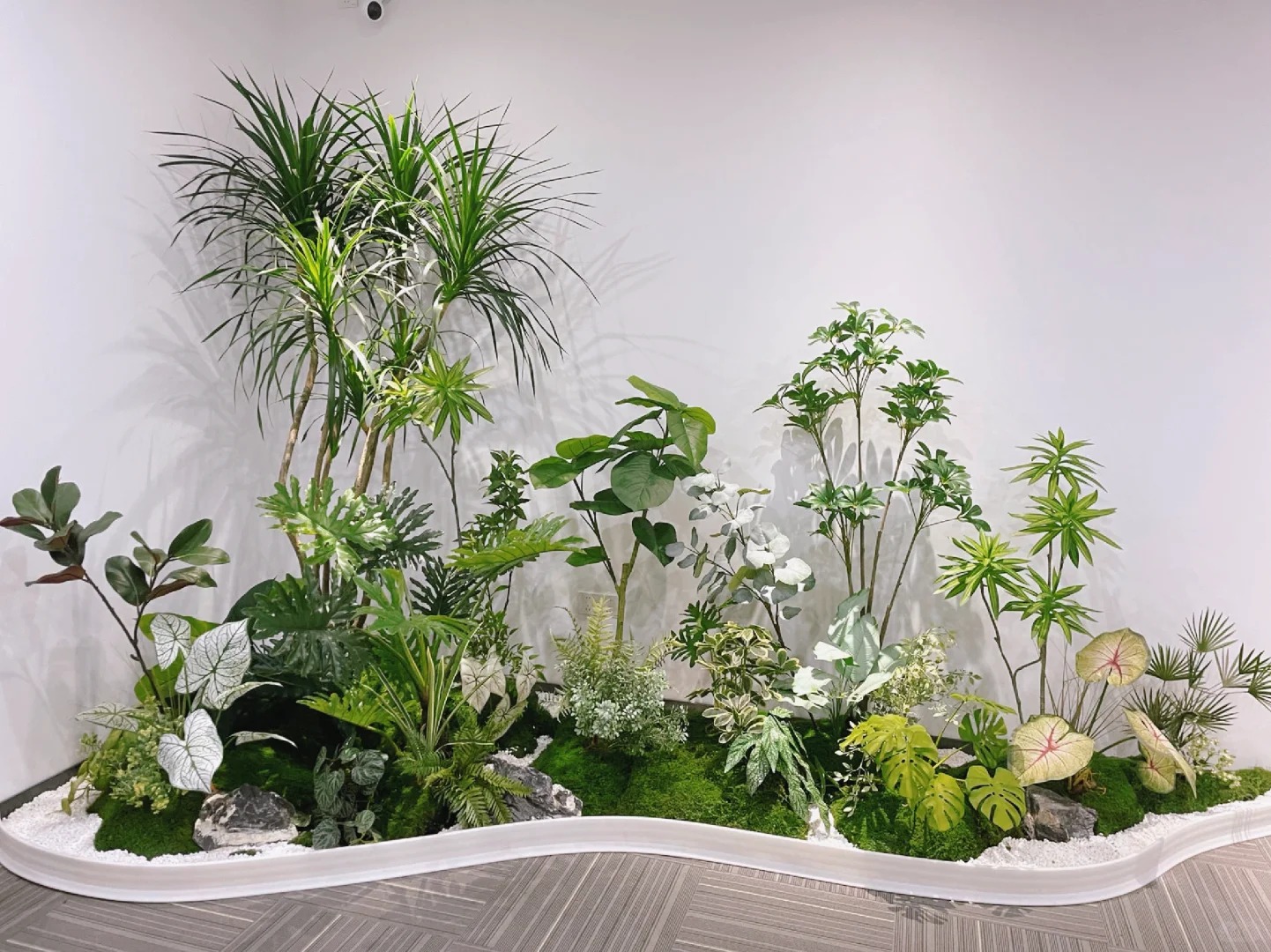 了解奉化盆景租摆价格，开启绿色新体验